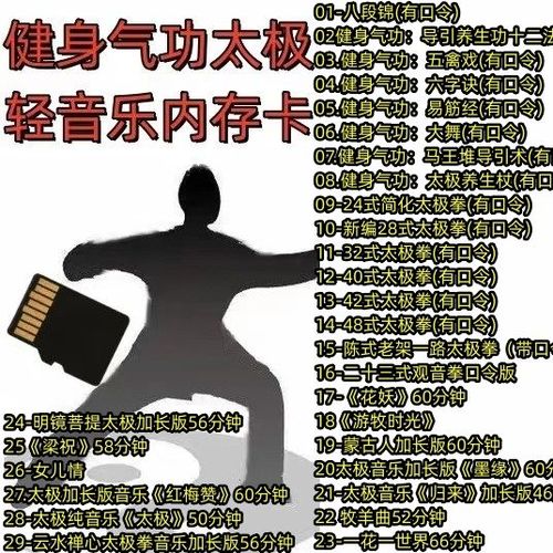 八段锦纯音乐mp3缩略图