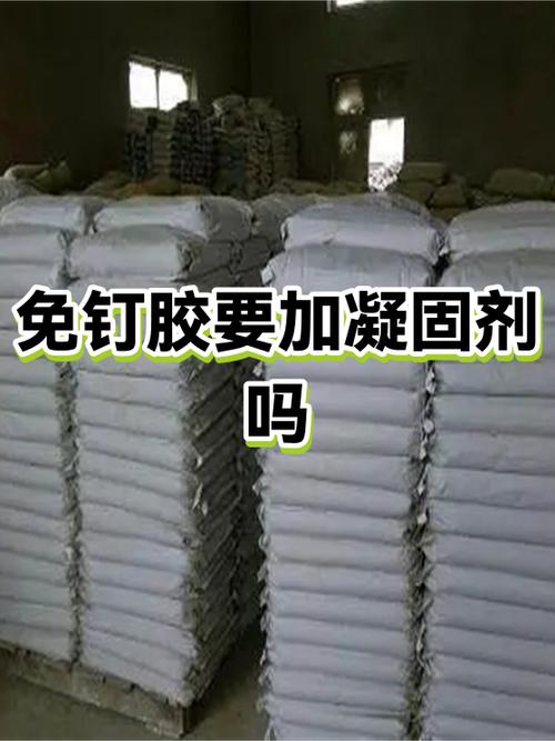 免钉胶多久能凝固