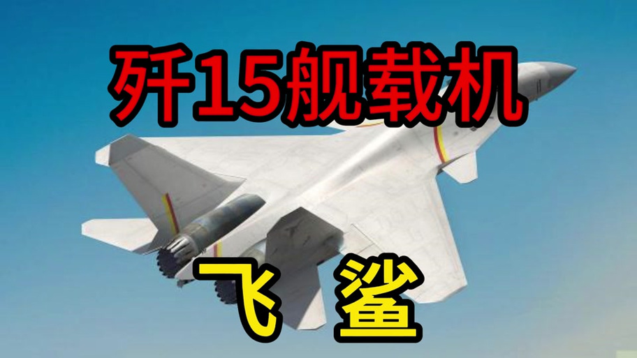 飞鲨云加速