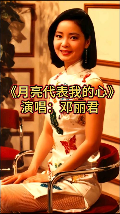 邓丽君的月亮代表我的心ktv伴奏图标