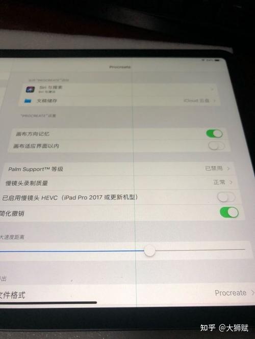 ipad屏幕出现上一条数据线