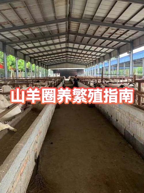 圈养山羊的养殖技术图标