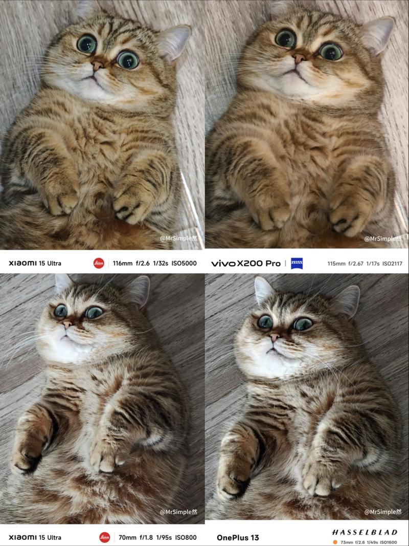 七猫和蕃茄哪个口碑好