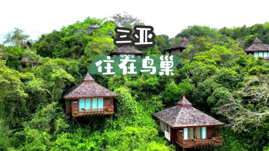 海龟登陆