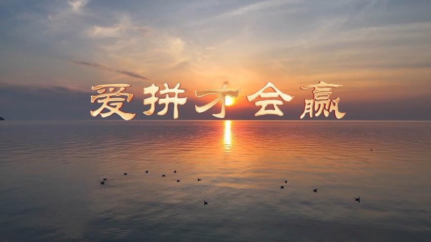 爱情才拼赢