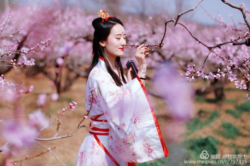 桃林深处有人家 仗剑红颜