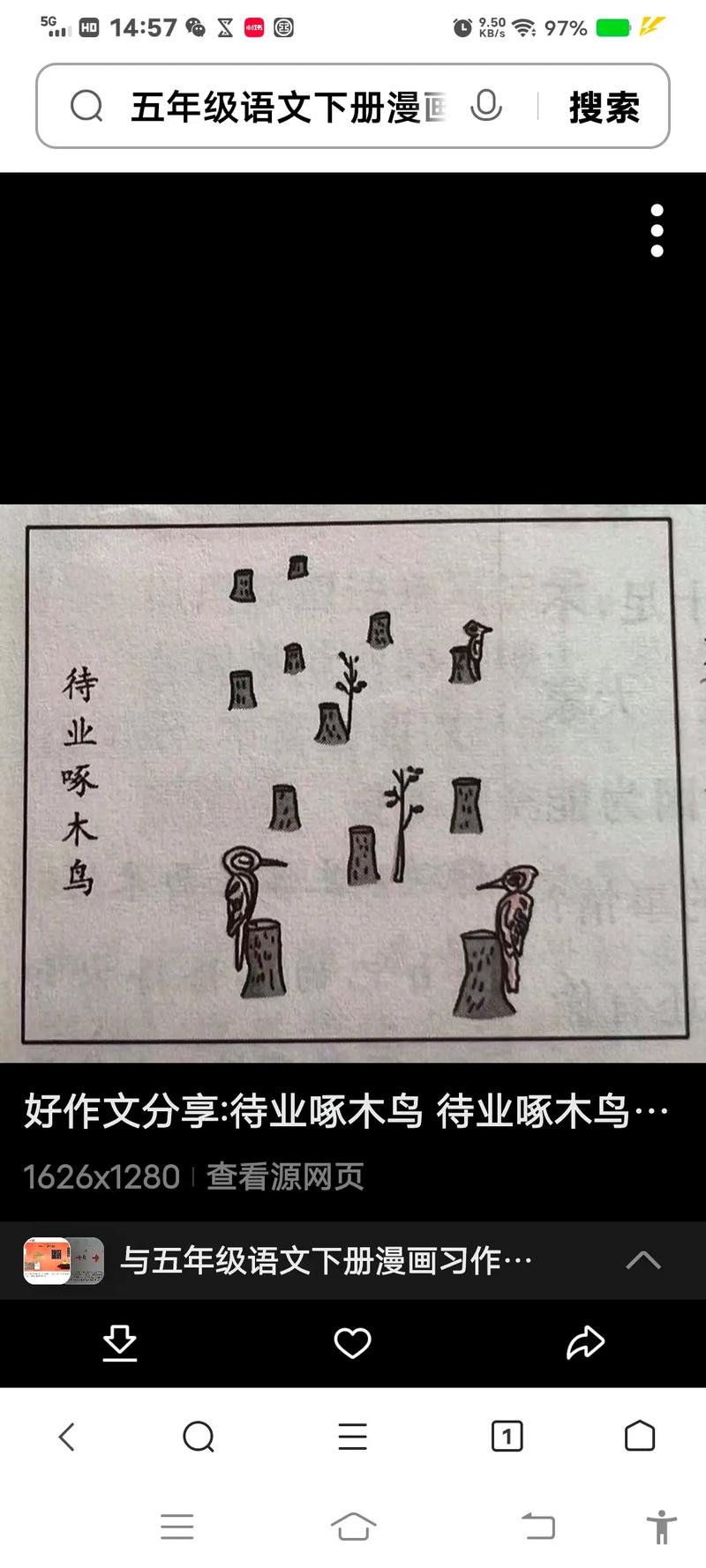 啄木鸟啄房子暗示什么缩略图
