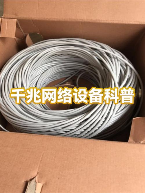 电视机的网卡是百兆还是千兆