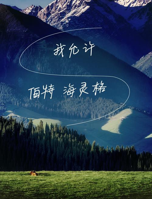 lingo有中文版吗