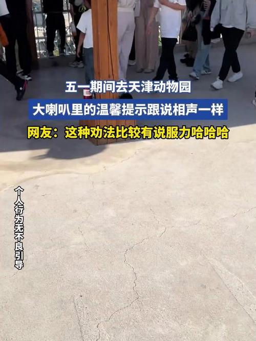 天津动物园的广播截图