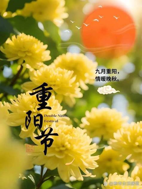 重阳节的来历简介
