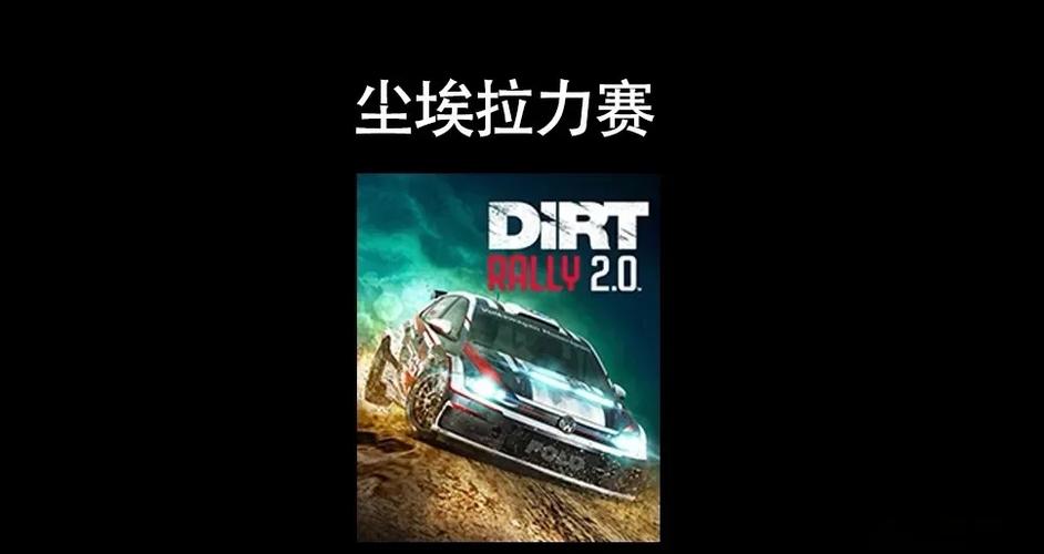 尘埃拉力赛多少钱