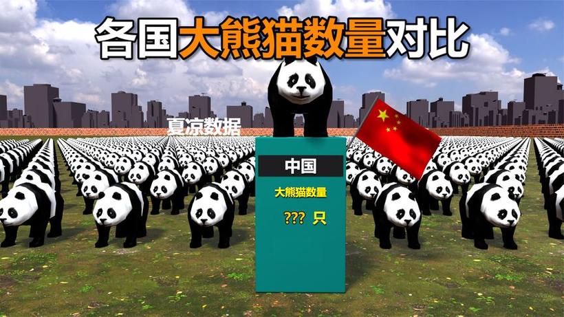 熊猫数量