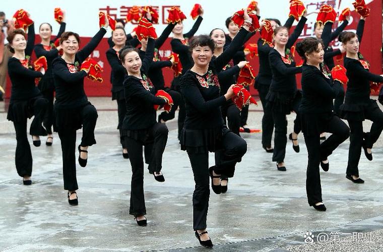40-50岁广场舞大全截图