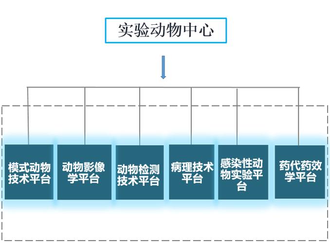 十大实验动物公司