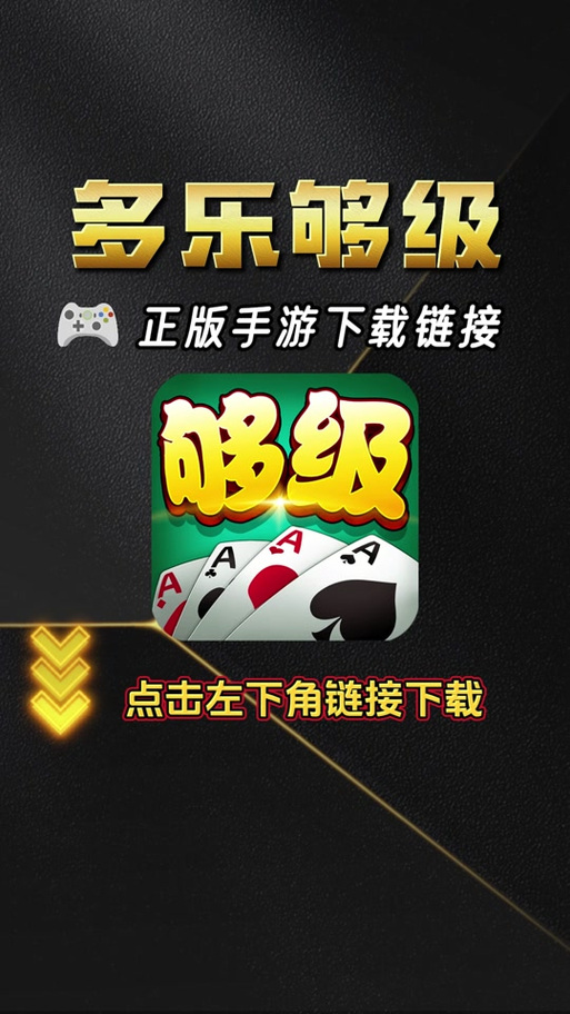 多乐够级记牌器怎么用