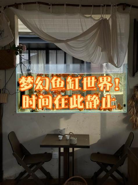 鱼缸时间怎么设置时间视频