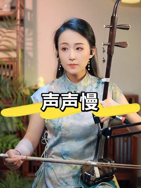 二胡声音特点
