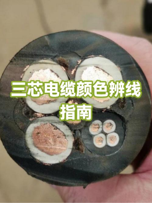 三芯电缆颜色代表什么线