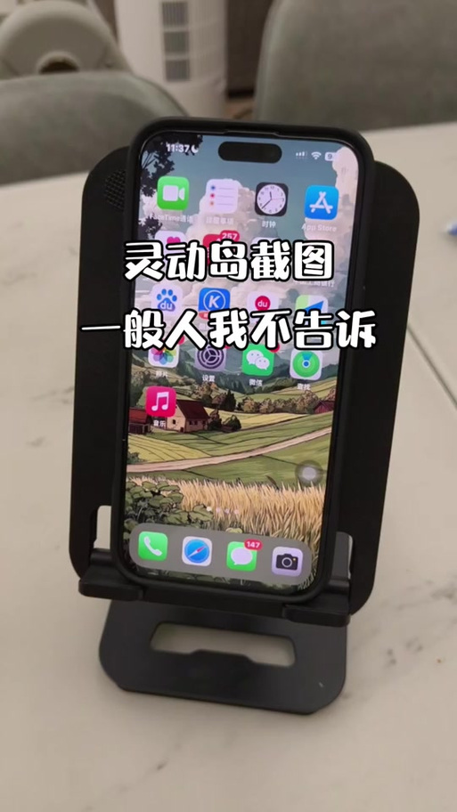 苹果截图怎么看不到灵动岛