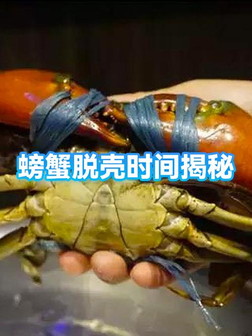 熟螃蟹放了四个小时还能吃吗