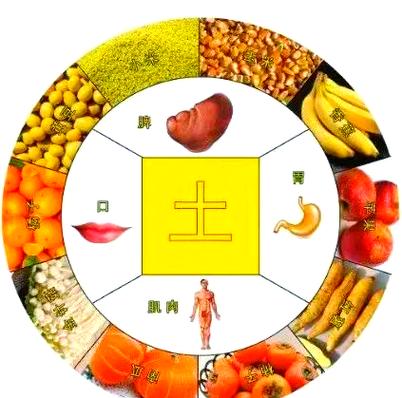 五行属土适合做什么生意