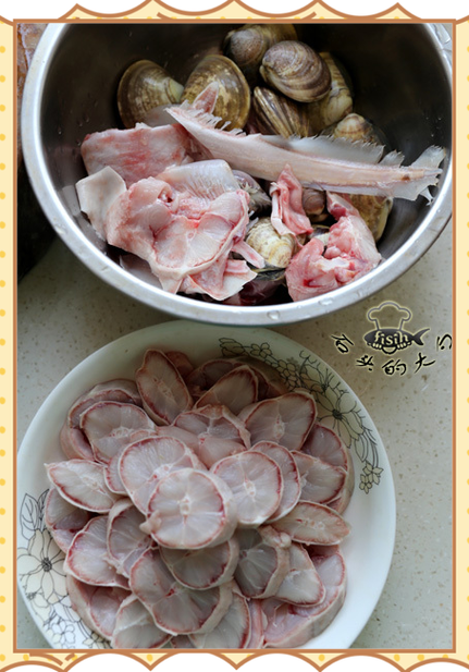 鲨鱼的食物