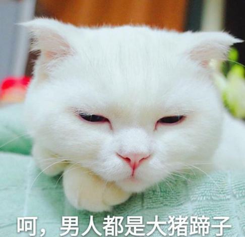 男人都是大猪蹄子 出处