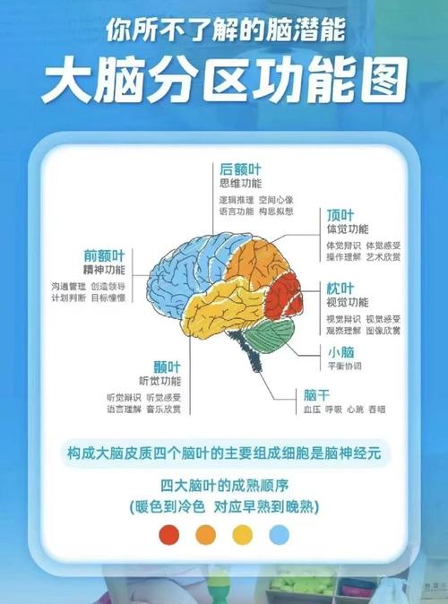 最强大脑166关共有几处不同
