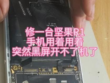 坚果手机黑屏开不了机怎么办