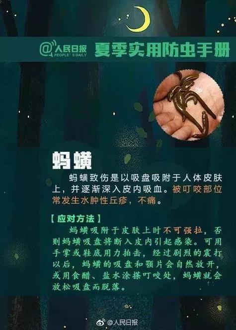 传染病游戏物品大全