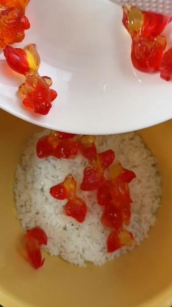 糖拌饭的全部作品