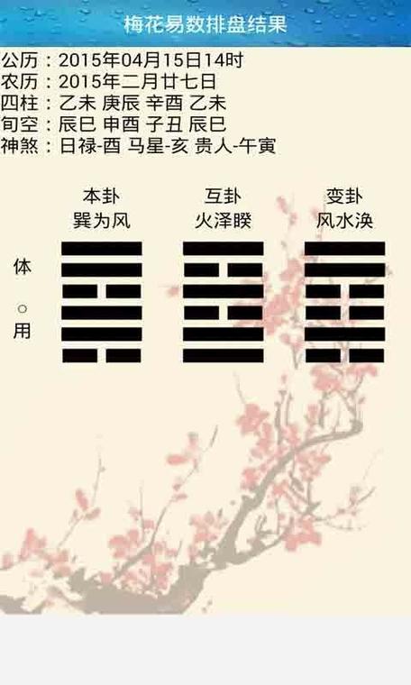 梅花易数排盘免费版