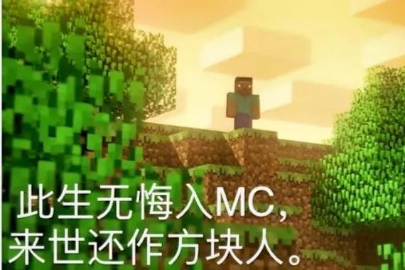 mc我的世界感人句子
