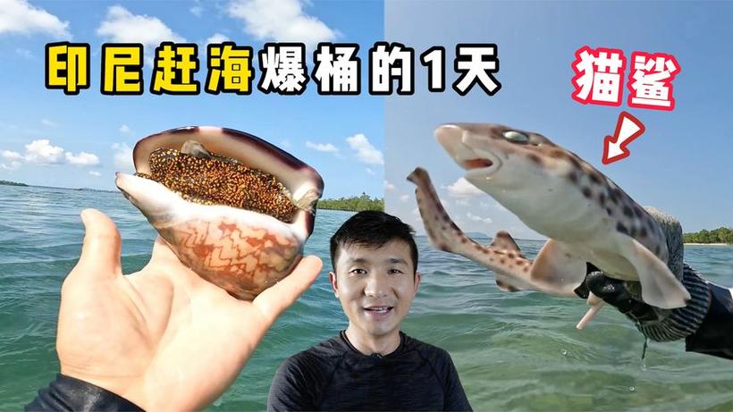 ok哥环球探海记