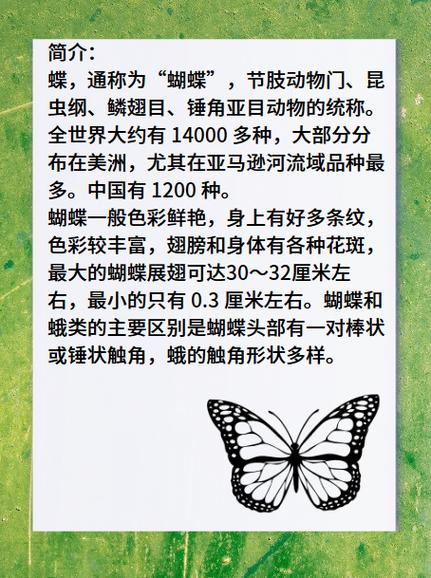 花开蝶自来前一句是什么