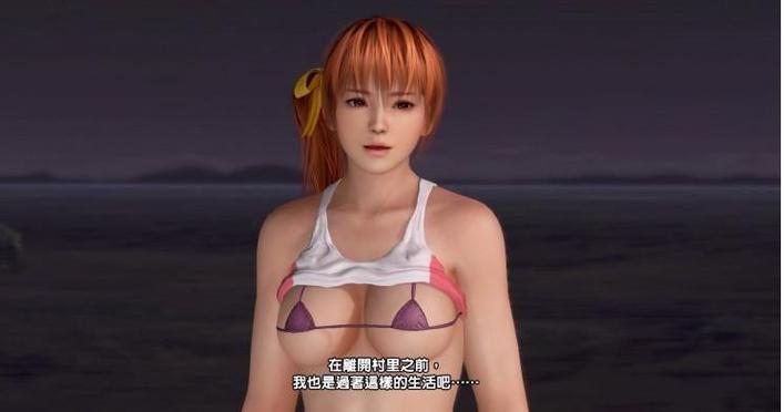 生与死沙滩排球3图片