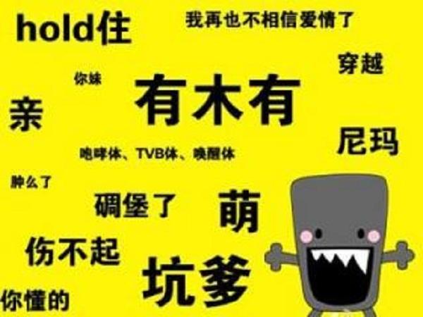 网络流行语大全详细