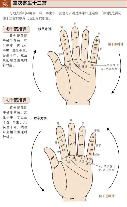 长生掌推算步骤图解