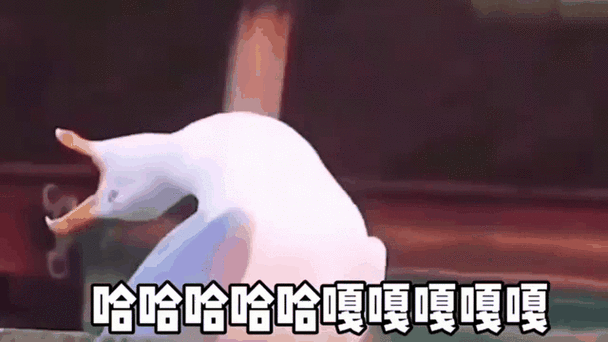 腾讯叫鹅厂,爱奇艺叫什么