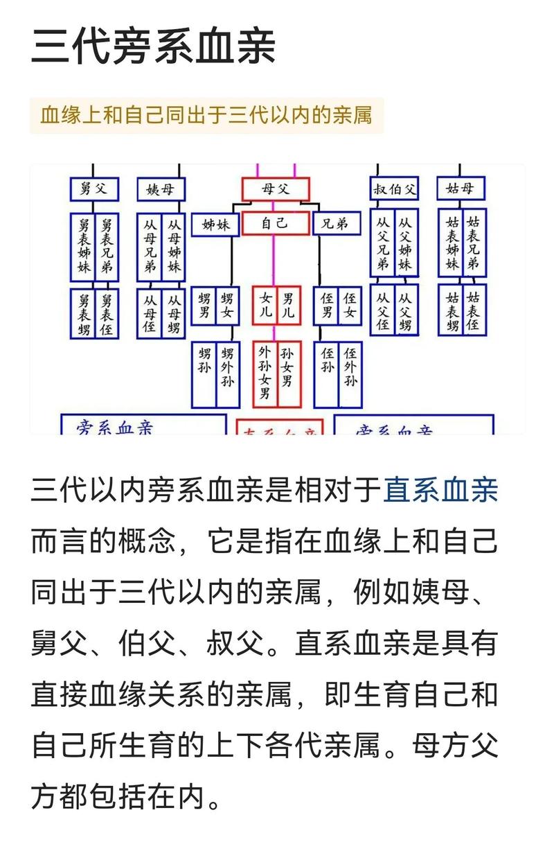 家族dna能查多少代
