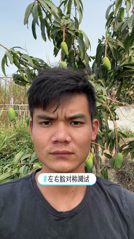 照片镜像翻转后巨丑