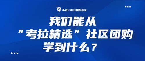 考拉社群福利