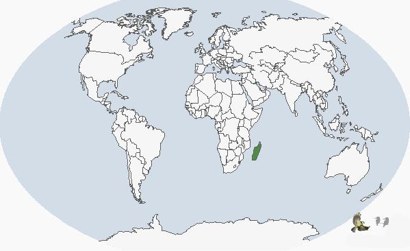 黑白地图