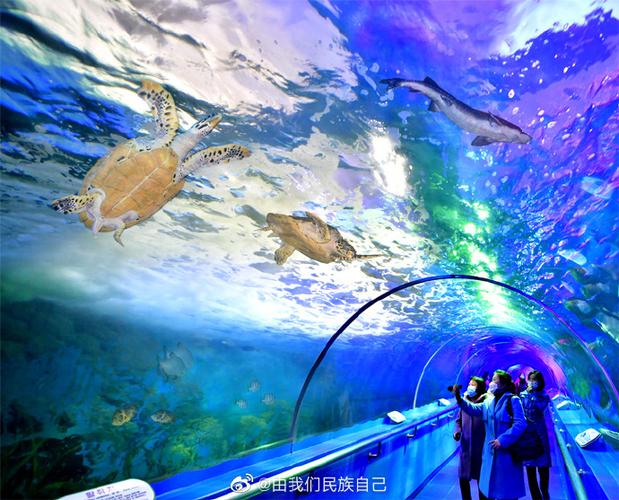 平壤水族馆在哪里看