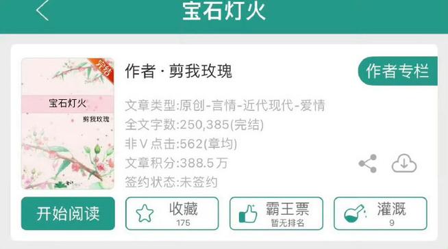 宝石灯火