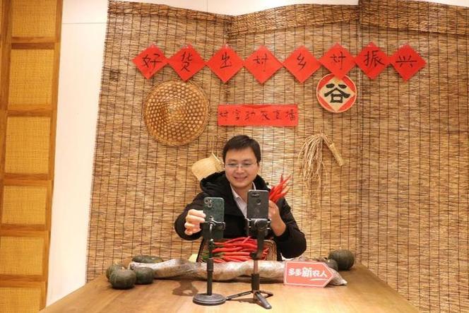 逍遥乡村直播间在线阅读游戏截图
