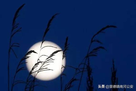 手机背景黑色怎么变白