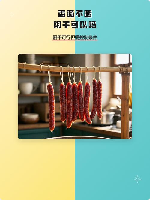 香肠不晒,阴干可以吗