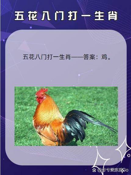 三言两语是什么生肖